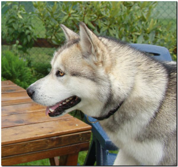 Besuch Nanooq 022.jpg